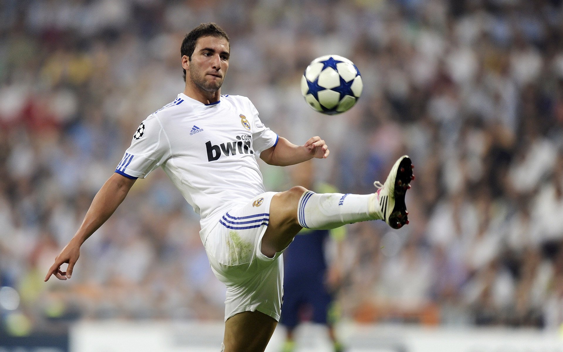 北美本土选手逐渐崛起，北美是哪个战队的