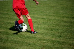 爱游戏官网首页-职业俱乐部推动退役球员培训转型教练岗位，职业选手退役当教练